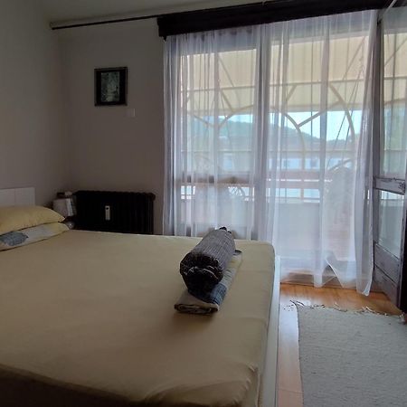 Vila Zora Apartman Banja Koviljaca Luaran gambar