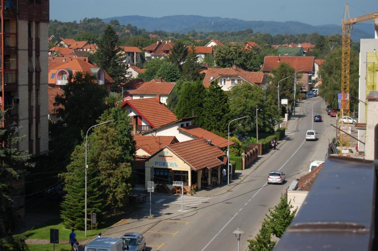 Vila Zora Apartman Banja Koviljaca Luaran gambar