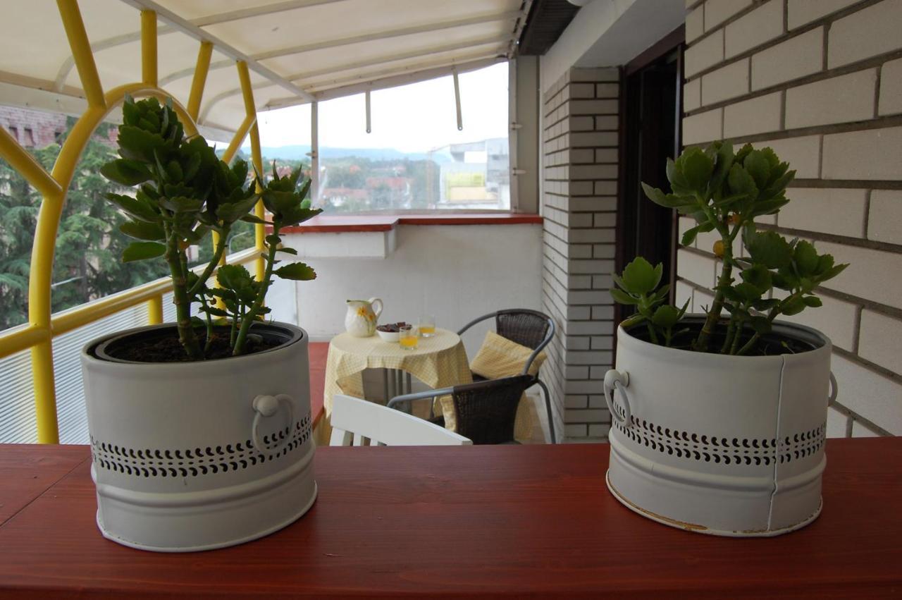 Vila Zora Apartman Banja Koviljaca Luaran gambar