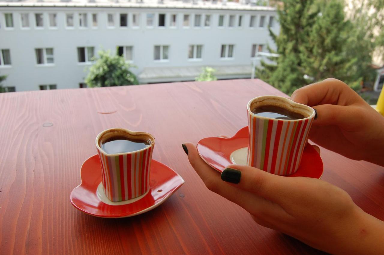 Vila Zora Apartman Banja Koviljaca Luaran gambar